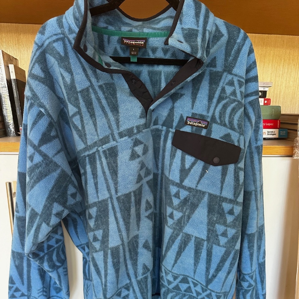 Patagonia Synchilla Mens Large